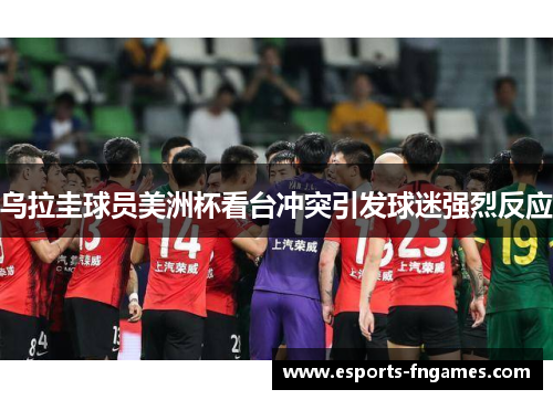 乌拉圭球员美洲杯看台冲突引发球迷强烈反应 乌拉圭球员美洲杯看台冲突引发球迷强烈反应