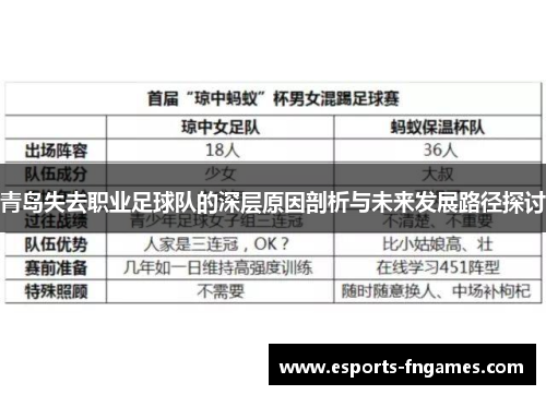 青岛失去职业足球队的深层原因剖析与未来发展路径探讨